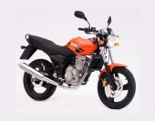 2009 MZ RT-Striker photo